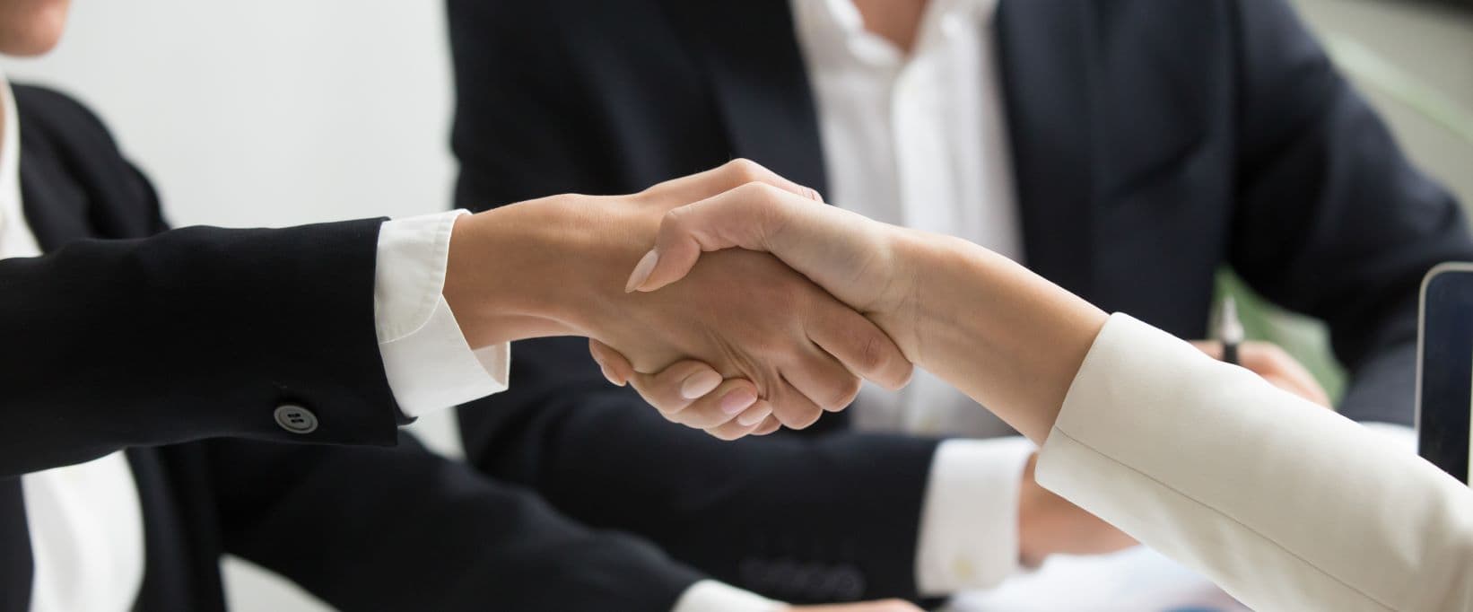 A business deal being made to upgrade a website based on the results from a real estate website audit.